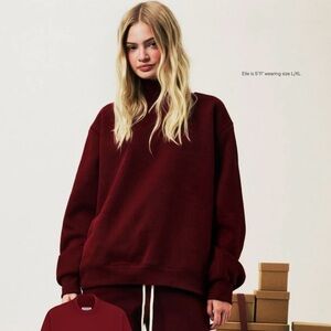 NWT Parke Holiday collection Classic Turtleneck in Maroon small medium